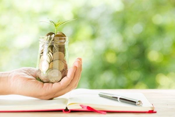 plant growing on money coins 